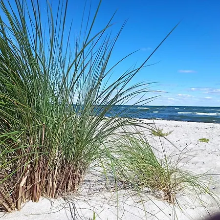 Pippa In An Der Schlei Feriehus Kappeln