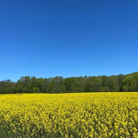Pippa In An Der Schlei Feriehus *